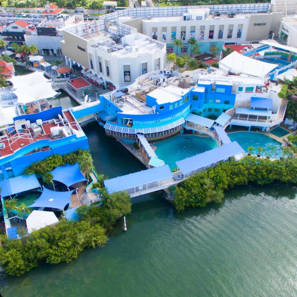 Aerial view of Interactive Aquarium Cancún beside the lagoon at La Isla