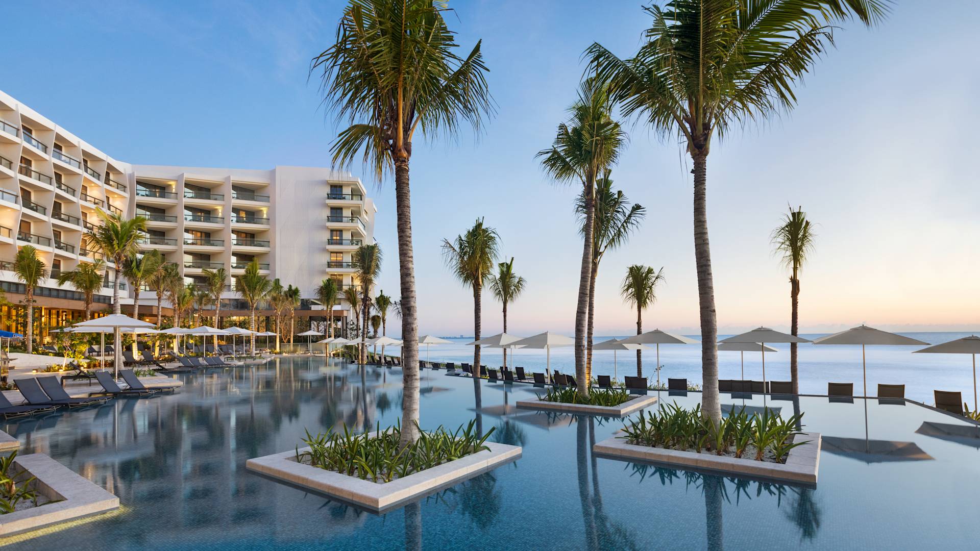 Palms and an oceanfront pool at Hilton Cancún, an All-Inclusive Resort